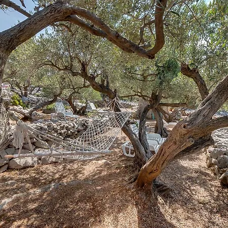 Holiday Home Nikol Veli Losinj Exterior photo