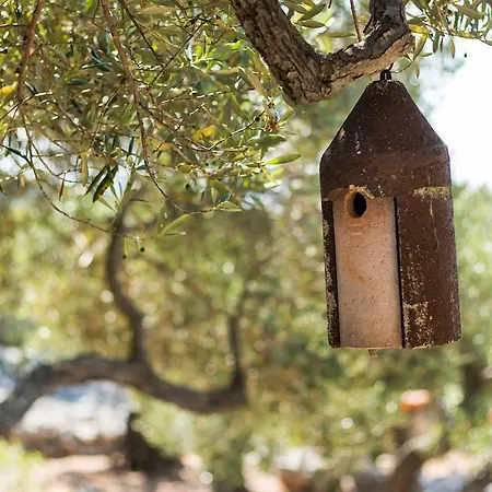 Holiday Home Nikol Veli Losinj Exterior photo