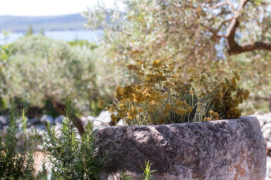 Nikol Holiday home Veli Losinj