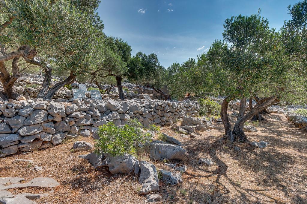 Holiday home Nikol