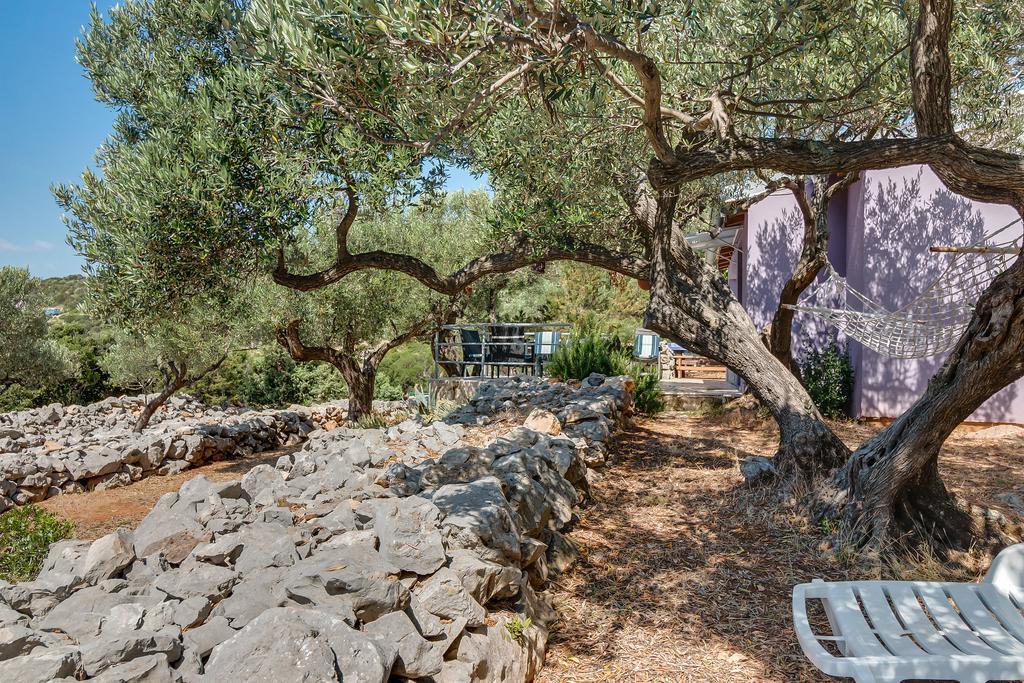 Nikol Holiday home *